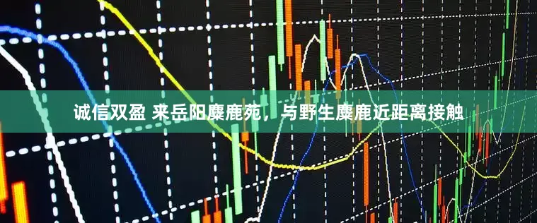 诚信双盈 来岳阳麋鹿苑，与野生麋鹿近距离接触