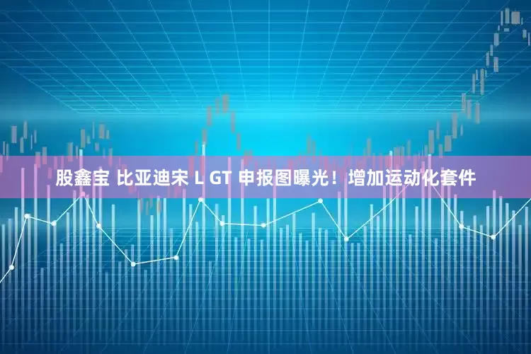 股鑫宝 比亚迪宋 L GT 申报图曝光！增加运动化套件