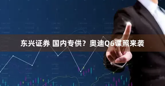 东兴证券 国内专供？奥迪Q6谍照来袭