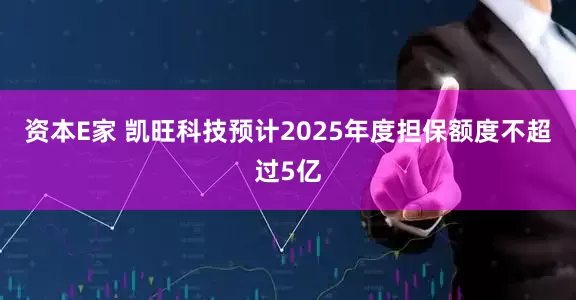 资本E家 凯旺科技预计2025年度担保额度不超过5亿