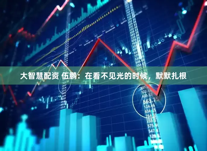 大智慧配资 伍鹏：在看不见光的时候，默默扎根